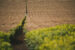 hanging_on_reduced