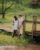 hanging_on_reduced
